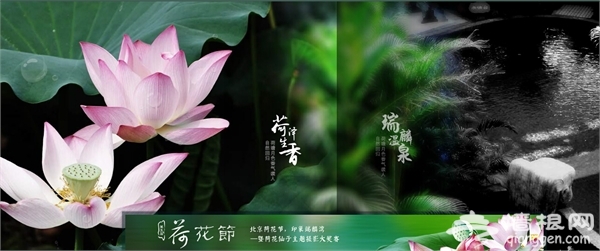 2015北京瑞麟湾荷花节时间、地点、门票和活动详情