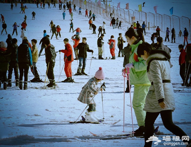 冬天适合去哪里旅游 北京云佛山滑雪场雪的乐园