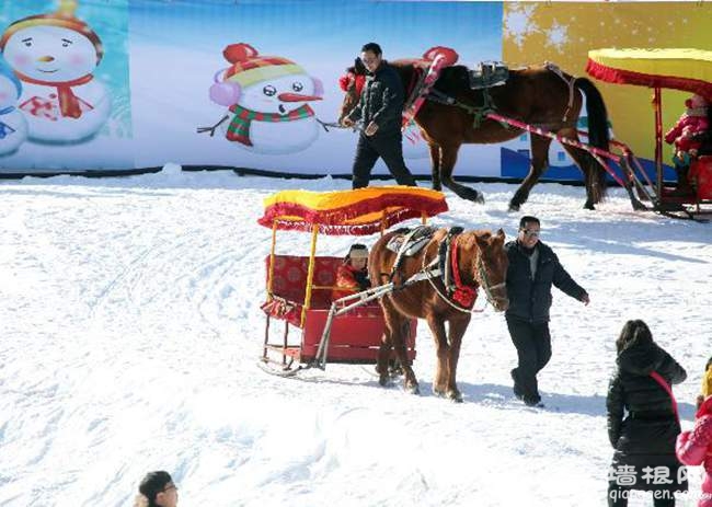 2014-2015第五届玉渊潭冰雪节雪上乐园（活动时间+活动地点）