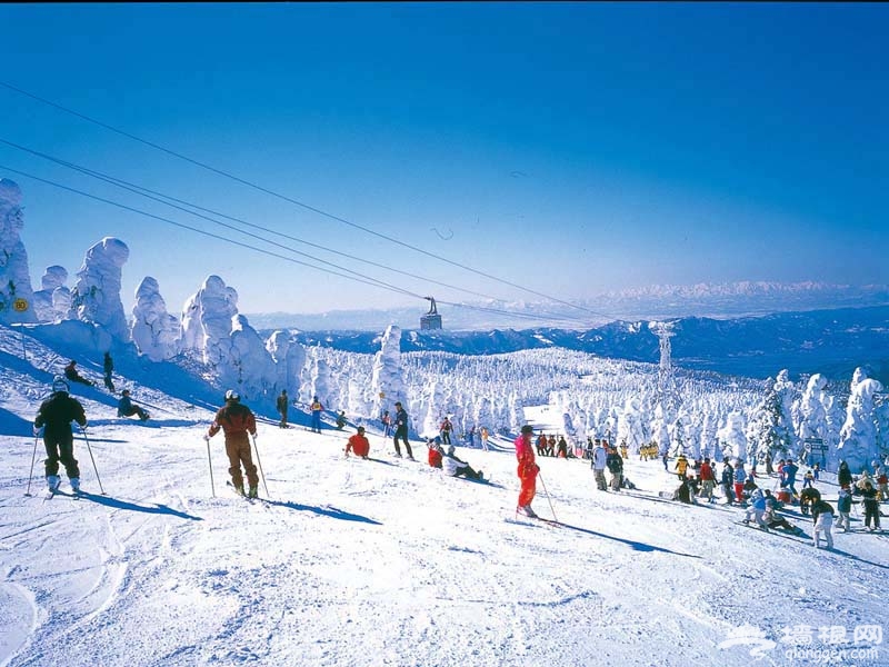 河北八大最范儿滑雪场[墙根网]