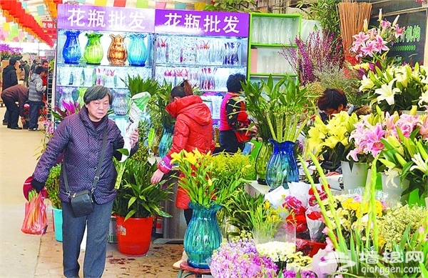 石家庄冬季赏花去哪 2015石家庄冬季赏花好去处推荐[墙根网]