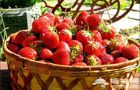 中国(大连)草莓文化旅游节即将开幕