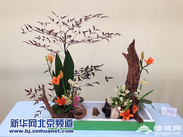 漳州水仙花文化艺术展将在京举办[墙根网]