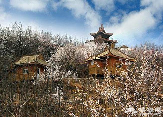 2015凤凰岭庙会举办时间和活动介绍