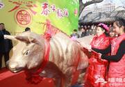 “三羊开泰 春牛报福”2015立春文化节