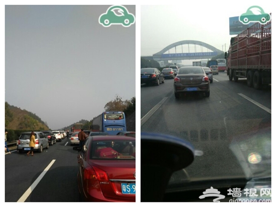不止避堵 还送红包 车托帮春节高速报路况活动上线[墙根网]