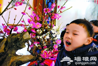 春节市属公园首设25条游览单行线