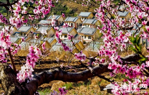 盘点春季北京昌平看桃花的地方 