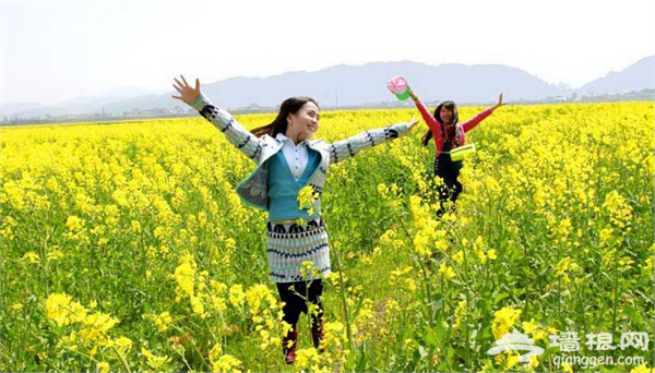 2015清溪龙凤花海旅游节本月开幕