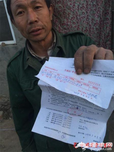 山东德州金锣被曝疑似流入病猪：检疫证明随便开