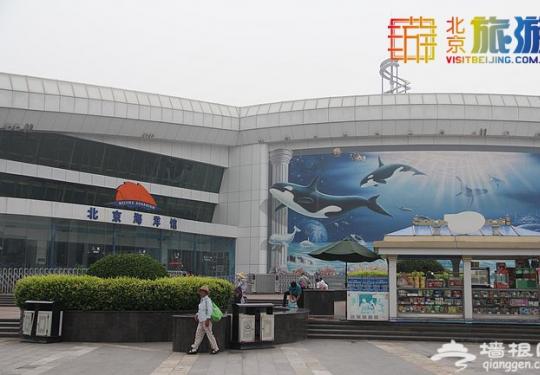 北京海洋馆海洋护照限量发行