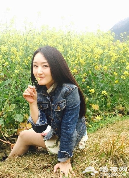 2015婺源油菜花节 玉女杨钰莹晒油菜花美照 气质不输少女[墙根网]