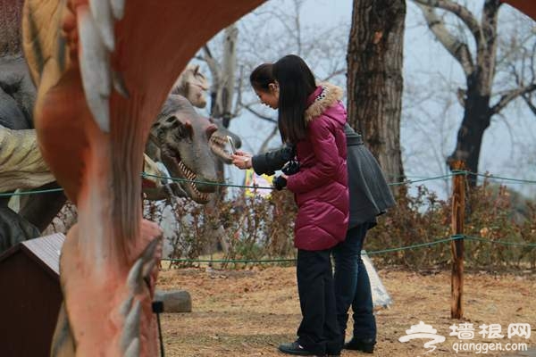 2015北京清明小长假去哪玩 植物园人间仙境赏春花