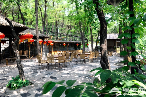 五一京郊踏青烤串目的地 北京云湖森林吧 我带着你 你带上肉