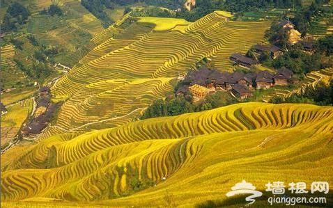 逃离闷热 五月国内最值得一去的清新地方[墙根网]