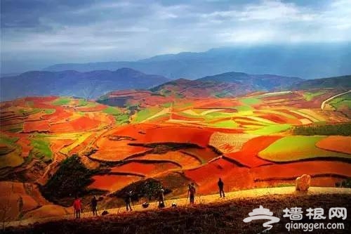 逃离闷热 五月国内最值得一去的清新地方[墙根网]