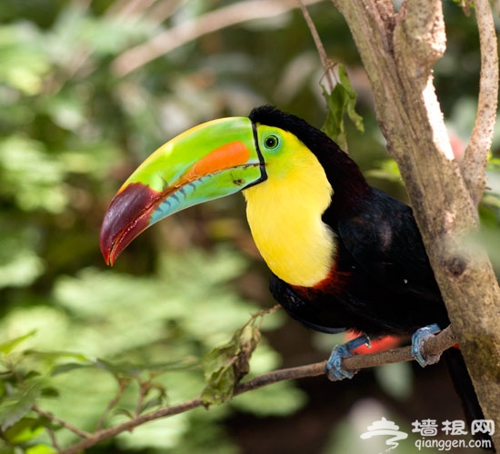 推荐20个有可能改变你一生的旅程[墙根网]