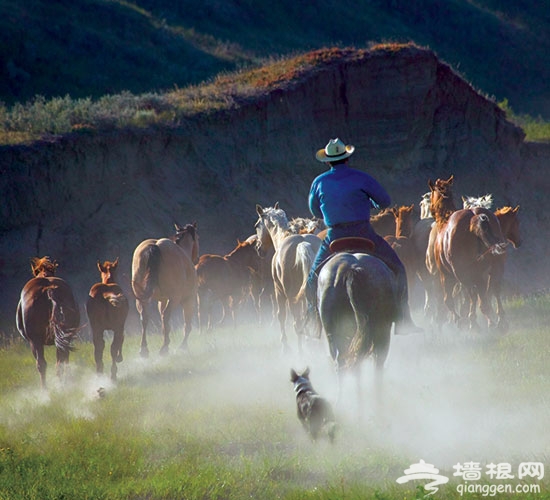 推荐20个有可能改变你一生的旅程[墙根网]