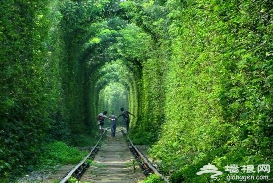 南京爱情隧道:游客慕名到“爱情隧道”自拍留念