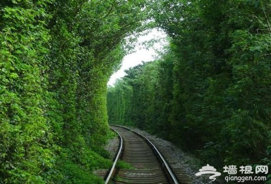 组图：南京爱情隧道:游客慕名到“爱情隧道”自拍留念