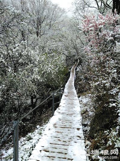 北京郊区飘雪 深达2-3cm 一夜重回“冬季”景象