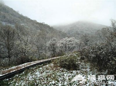 昨日的白雪装点下,鲜花三分白,山色一片银装素裹。