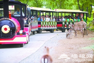 北京野生动物园开放全国最大自驾散养区