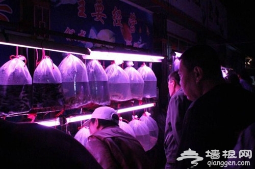 天津哪里有夜市 完美夜生活从天津夜市开始