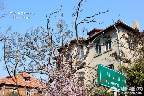 青岛自助游图片