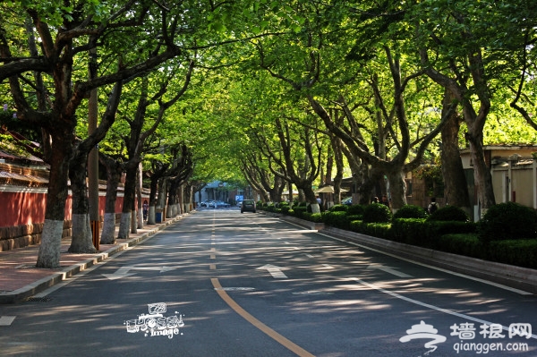 青岛景点图片