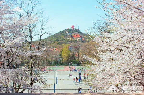 青岛旅游攻略图片