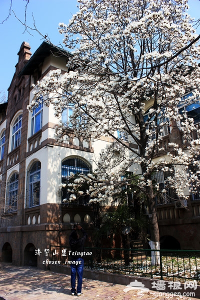 青岛旅游攻略图片