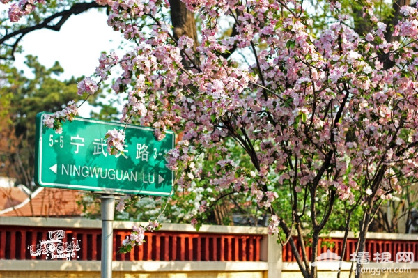 青岛图片