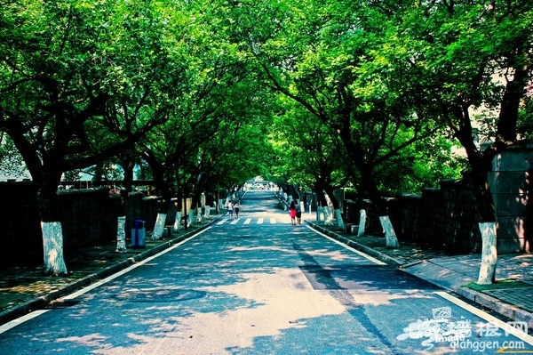 青岛旅游攻略图片