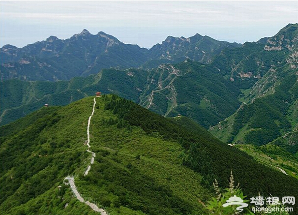 云端的浪漫—悬崖上的蒲洼梯田酒店体验归来