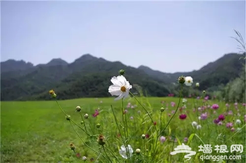 京郊自驾游好去处 北京周末带孩子去哪玩