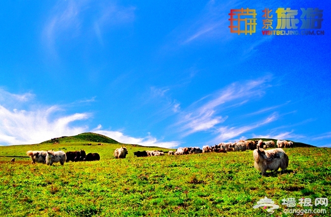 2015北京京郊夏季避暑胜地 京西灵山一览众山小