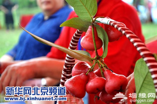 第一届北京农园节开幕[墙根网]