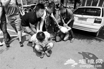 揭秘颐和园黑导游的地下江湖