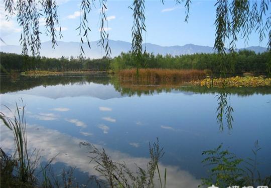暑假带孩子去哪里玩 北京湿地公园大盘点