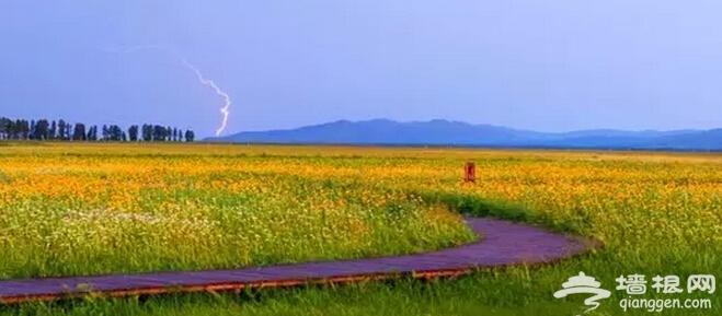河北9大“黄色”景区 这个夏季一定要去一次[墙根网]