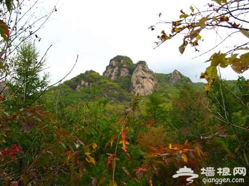 鸡冠山