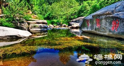 一路向北 在这个夏季去感受牡丹江之美[墙根网]