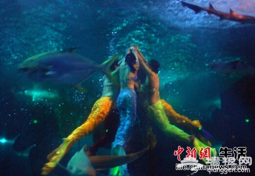 邂逅蓬莱：人间仙境 最接近天堂的地方[墙根网]