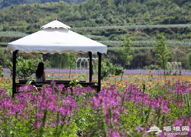 温馨小屋
