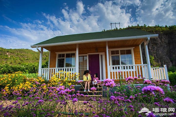 人间花海小木屋