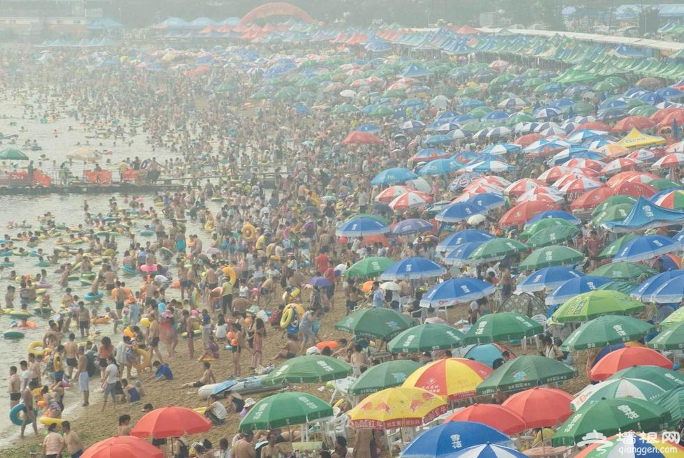 大连持续高温 海滨浴场现“下饺子”