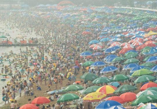 大连持续高温 海滨浴场现“下饺子”