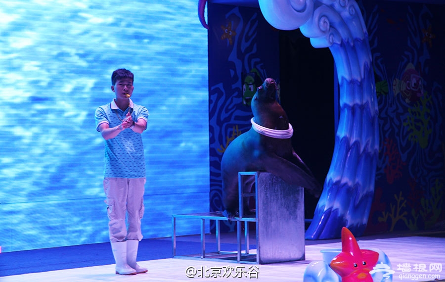 2015第九届北京欢乐谷狂欢节期间每天献上精彩表演