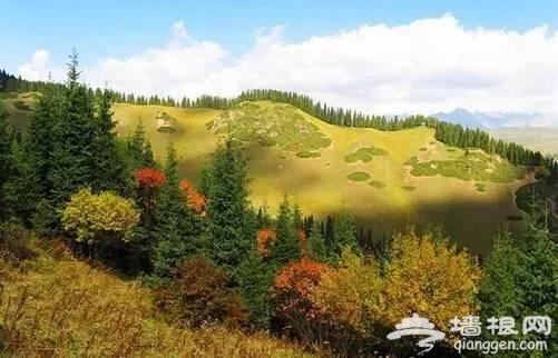 国内很少有人知道的8个免费旅行处女地，不要钱！[墙根网]